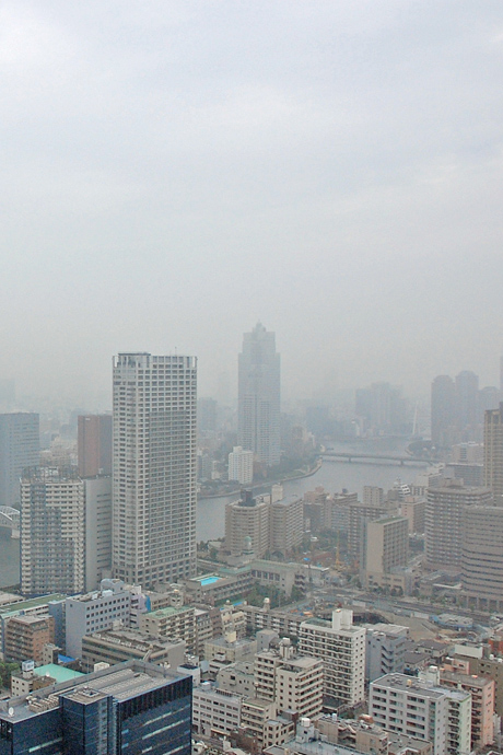 窓からの外の景色